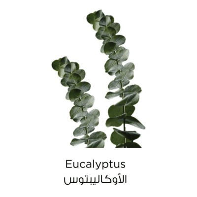 ⁦غسول منظف بالطين النقي من لوريال - 150مل⁩ - الصورة ⁦2⁩